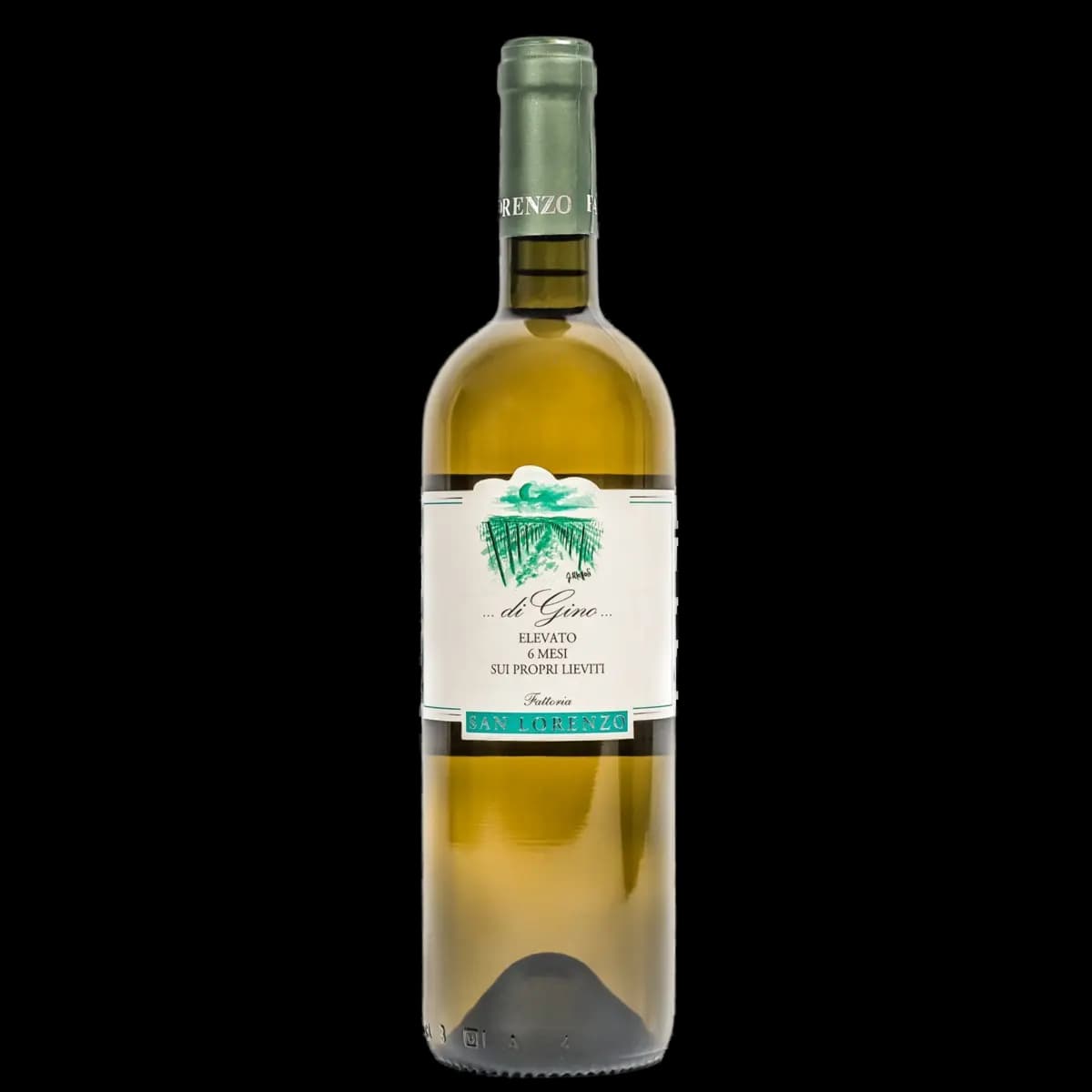 Fattoria San Lorenzo 'Verdicchio di Gino' 2023