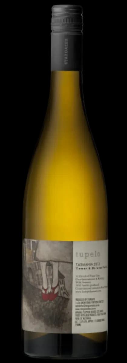 Stargazer 'Tupelo' 2025